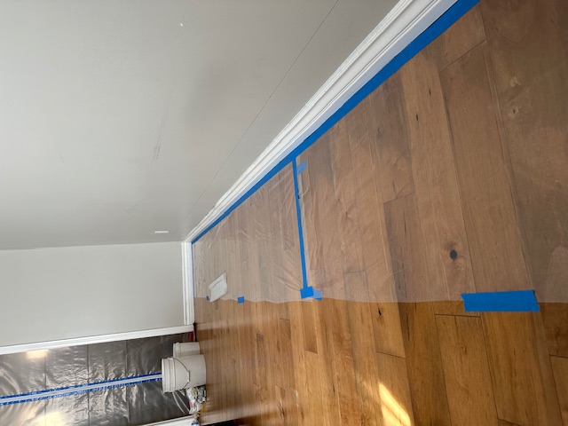 Condo leaks, water damage, mold removal complete